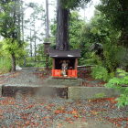 ④神木