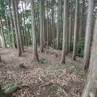 ⑤本丸の東側