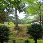 ④主郭にいた野生の鹿