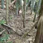 ⑦登城路を捜して彷徨い