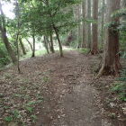 ④本丸手前の平坦地から本丸方向を見る