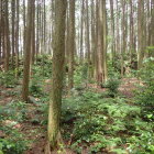 ②主郭の高土塁