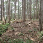 ④登城路