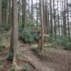 ⑥登城路と案内標識