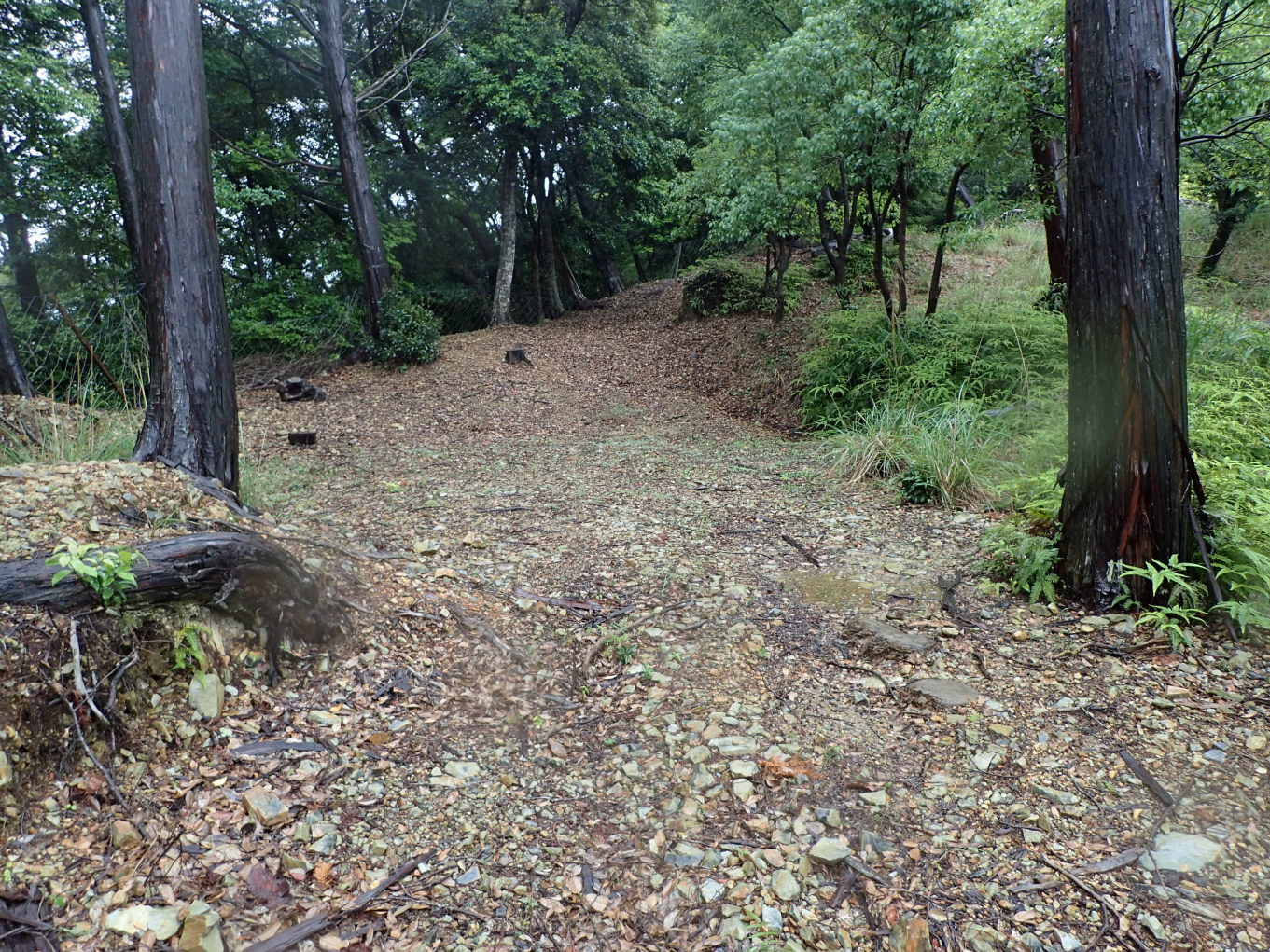①城内北側