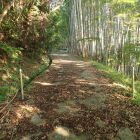 ⑦登城路