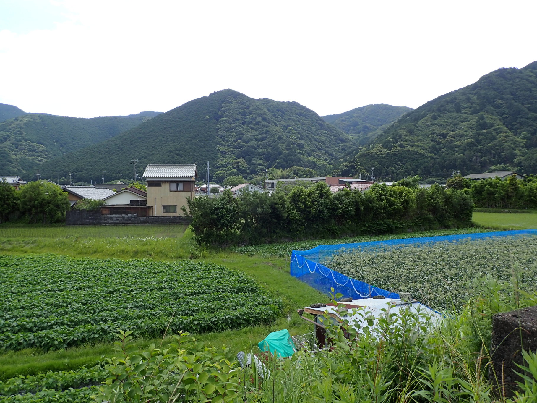 ①安宅本城跡(低い石垣が見えます)