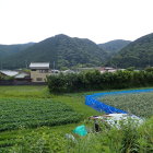 ①安宅本城跡(低い石垣が見えます)