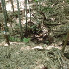 ⑧井戸跡