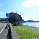 ⑨猿の横顔に見えませんか