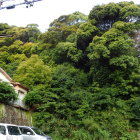 ①矢倉城遠望