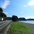 ⑧猿の横顔に見えませんか
