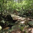④木橋