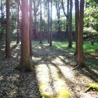 ③主郭と土塁