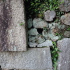 ⑧排水溝