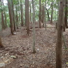 ⑤一郭