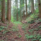 大野曲輪　東側の堀切