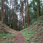 中城・北城間堀切
