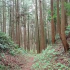 本丸・古本丸間の堀切