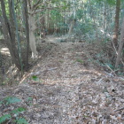 虎口の先の土橋