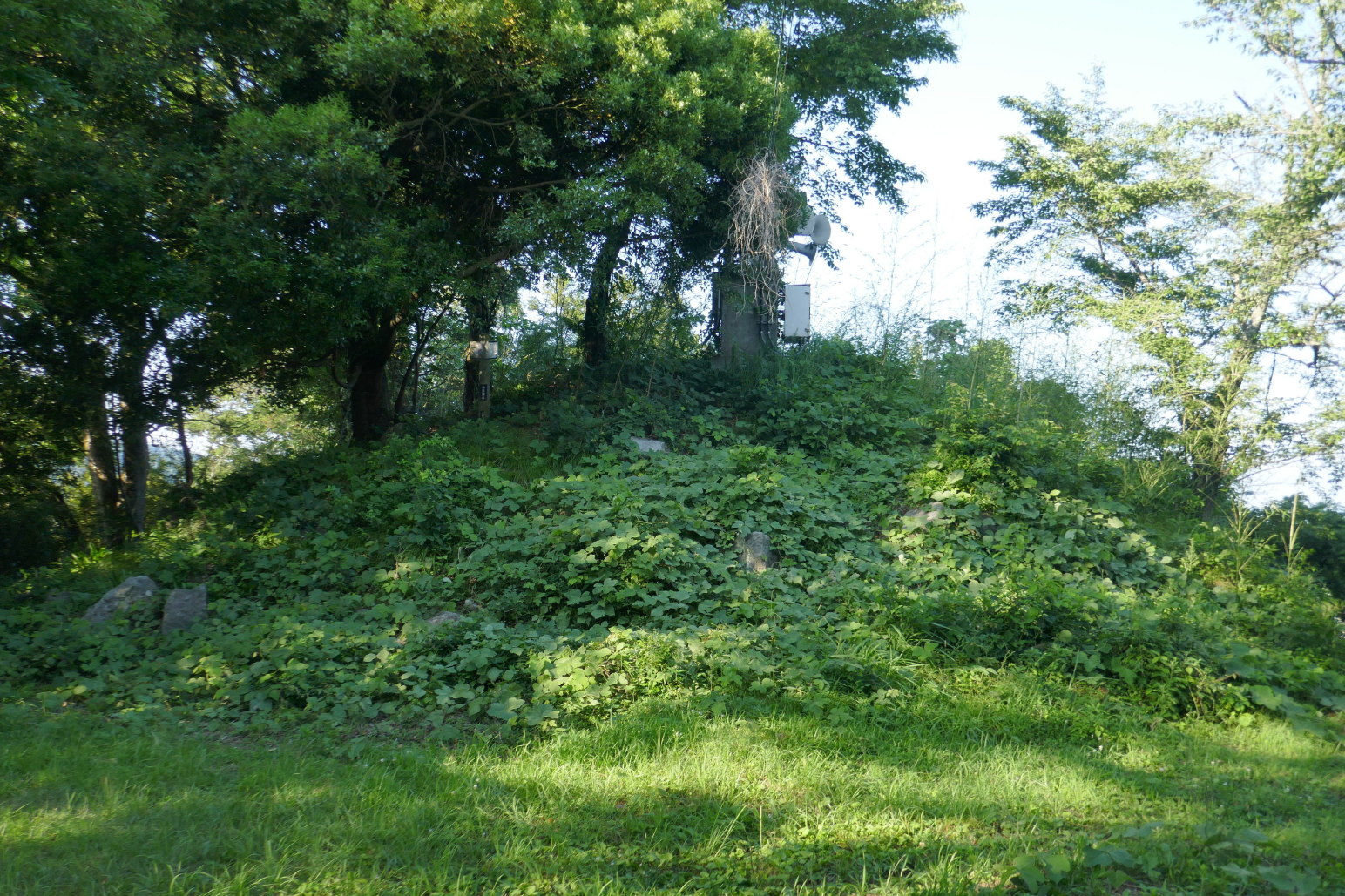 本丸の櫓台か？　天守台？