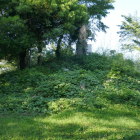 本丸の櫓台か？　天守台？