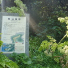 登城口付近