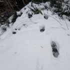 土盛の上を歩く