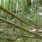 郭の土塁