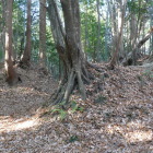 本館南側の喰違い虎口