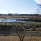 鳴瀬川を臨む