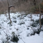 全て雪の下