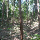土塁　郭