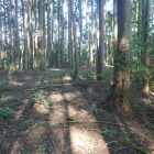 寺屋敷