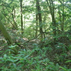 尾根先の堀