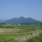 山