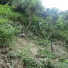 石垣
