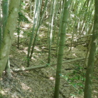 ここにも郭が
