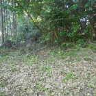土塁