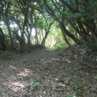 堀跡かな