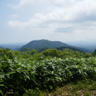 主郭からの眺望