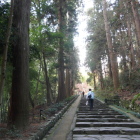 杉参道