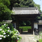 妙照寺 山門