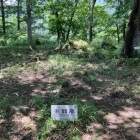 奥にあるのが庭園に使われた石
