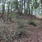 兵站地（城郭５）。北辺に土塁