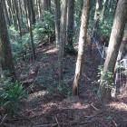 主郭から北にのびる尾根には堀切があるようですが…