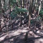 北尾根の堀切（外側）