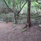 近代の治山石垣