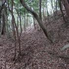 西の城・南裾の横堀（西側上段）