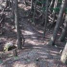 北尾根の二重堀切（外側）